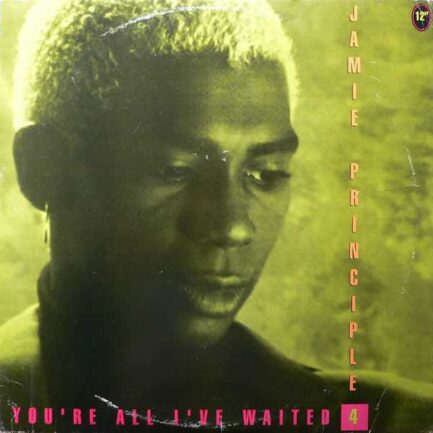Jamie Principle ‎– You're All I've Waited 4