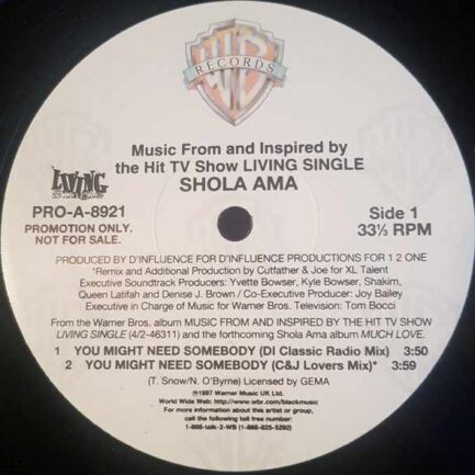 Shola Ama ‎– You Might Need Somebody